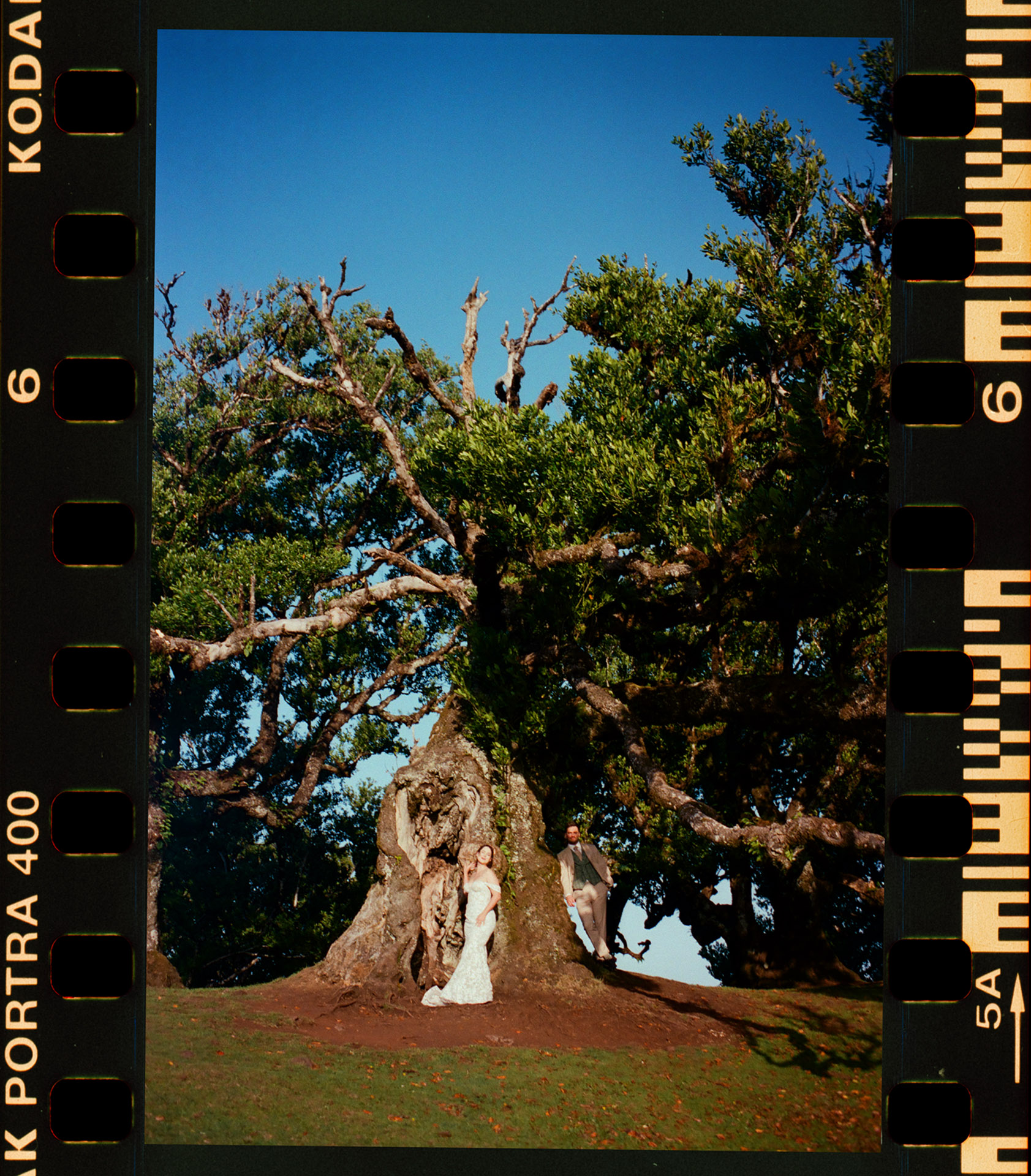 Skan analogowy K&D w strojach ślubnych stojących pod ogromnym, rozłożystym drzewem w Lesie Fanal na Maderze, fotografia na kliszy Kodak Portra 400 by Camera Folks Wedding Photo & Video.