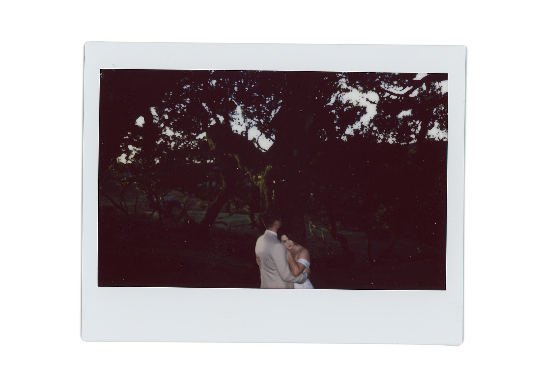 Karolina and Daniel_Madeira_Sielsko Anielsko_by Camera Folks_101