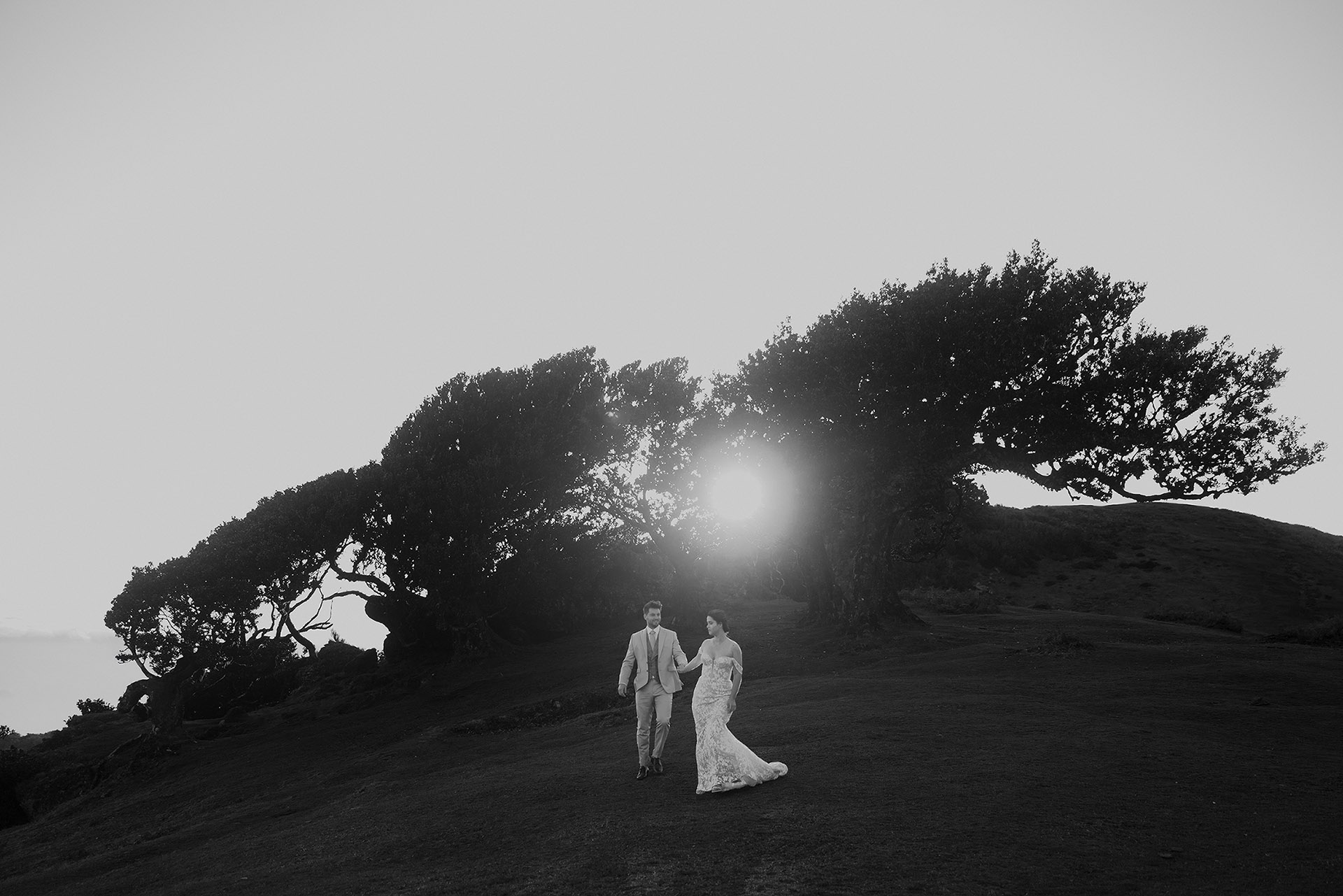 K&D w strojach ślubnych spacerujący po Lesie Fanal na Maderze w świetle wschodzącego słońca, ujęcie czarno-białe, sesja poślubna bez mgły by Camera Folks Wedding Photo & Video.